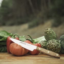 Cuchillo Medio Golpe 14Cm Nórdika Arcos
