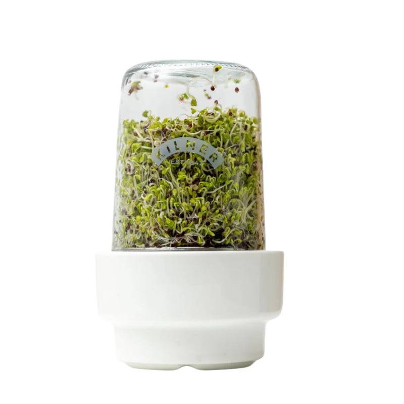 Set para Germinar Semillas Kilner 500 ml cultivo germinados caseros cocina saludable alimentación natural Chile