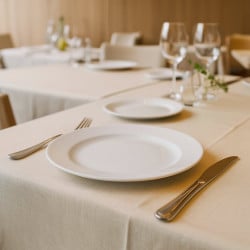 Plato De Entrada 20,5Cm Banket Th Wolfen