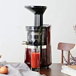 Extractor De Jugo Lento Wine S13 Hurom
