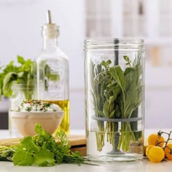 Set Para Cultivar Hierbas 1 Lt Kilner
