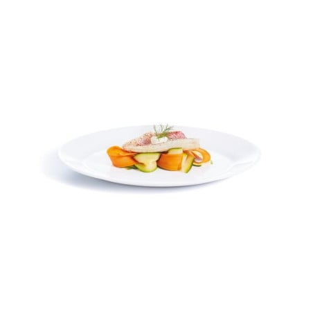 Plato blanco con filete de pescado, vegetales naranjas y guarnición verde vista superior sobre fondo blanco